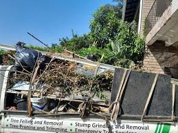 Best Dumpster Rental Services  in South Apopka, FL